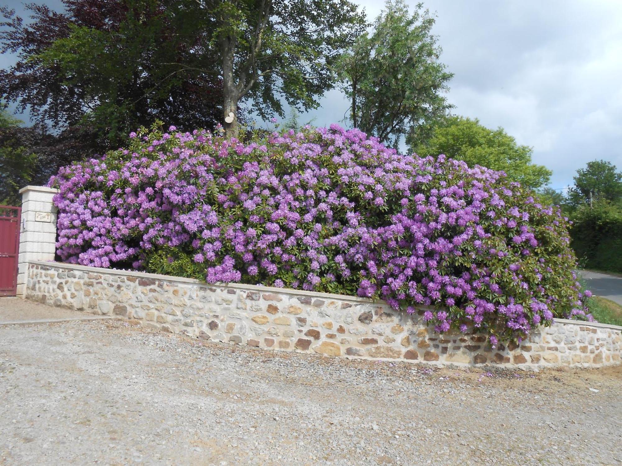 Maison Brix エクステリア 写真